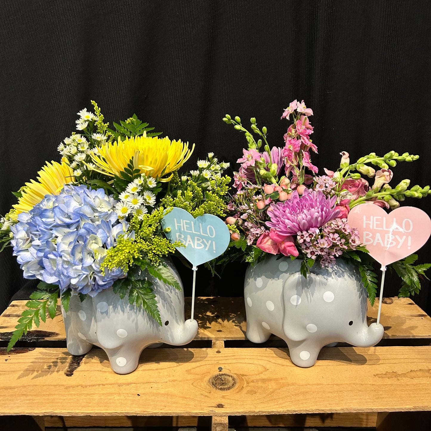 Hello Baby Elephant Arrangement