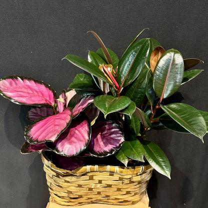 Large Peanut Plant Basket