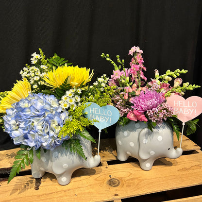Hello Baby Elephant Arrangement
