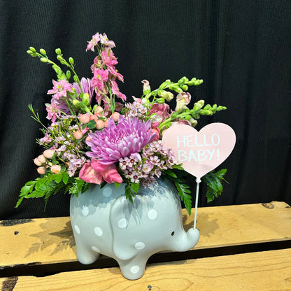 Hello Baby Elephant Arrangement