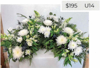 Urn Surround